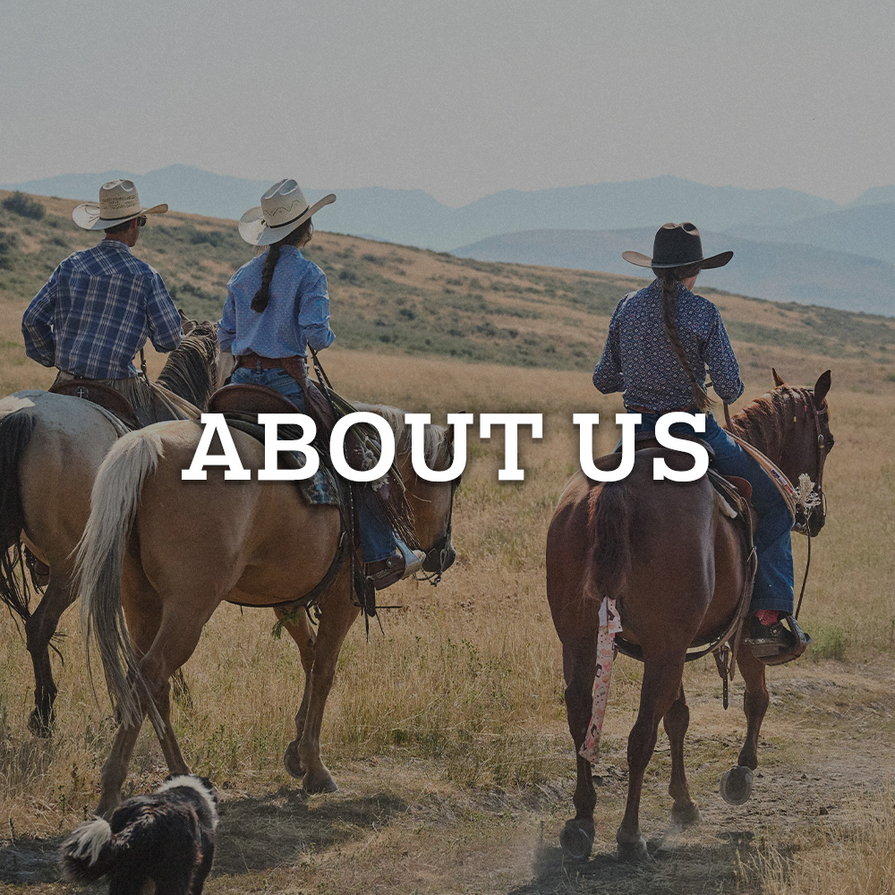 About Us. Cowboys riding on horses.